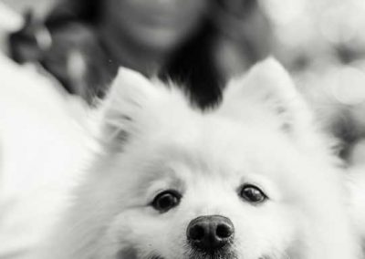 A Pet Above The Rest