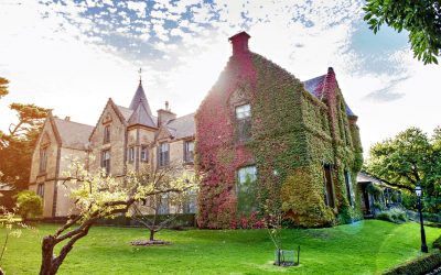 A Birthday To Behold