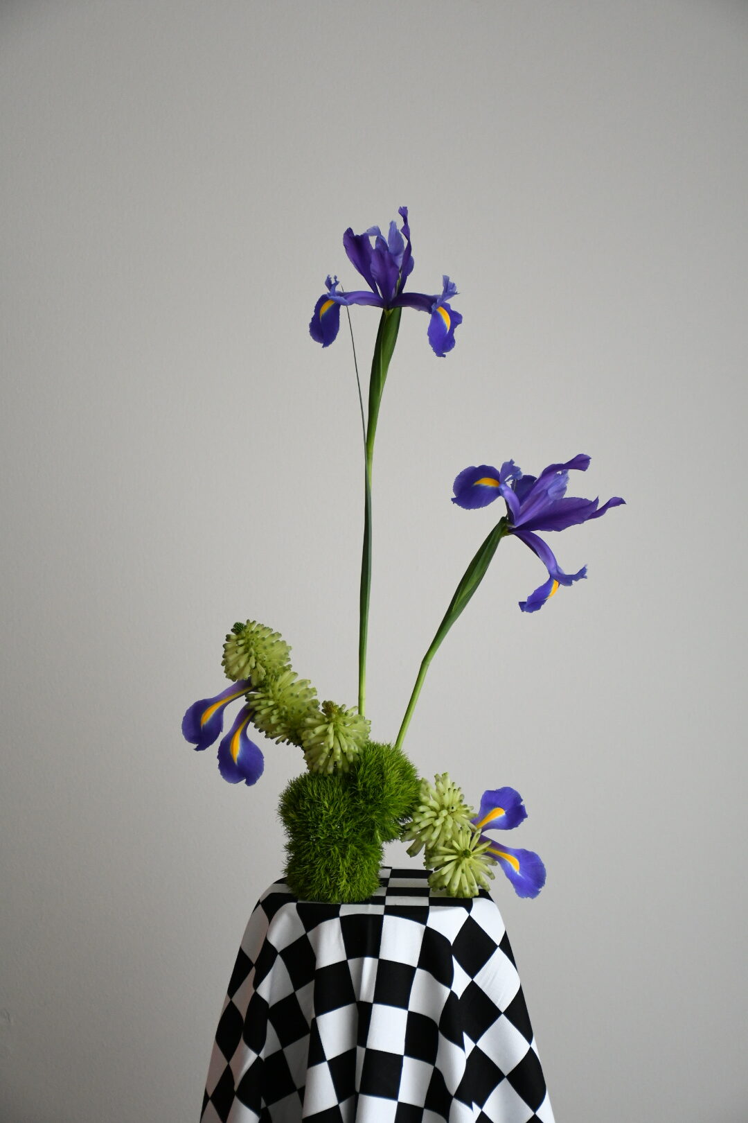 Wildblooms Wildblooms