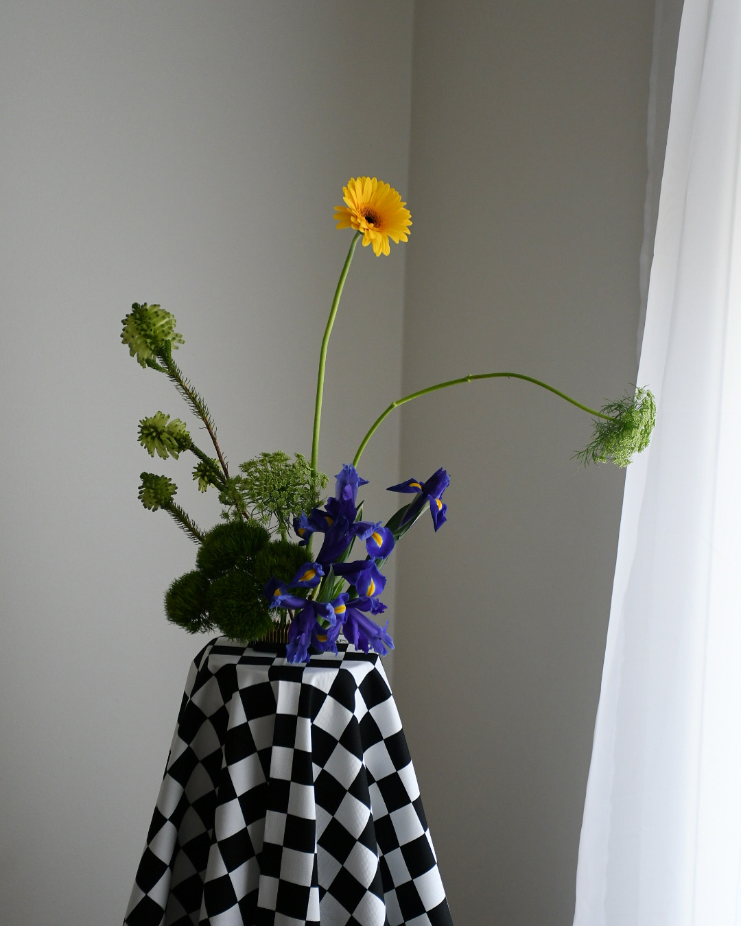 Wildblooms Wildblooms