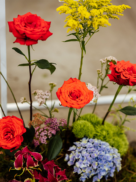 MWB36-Wildblooms-Web-1 Wildblooms