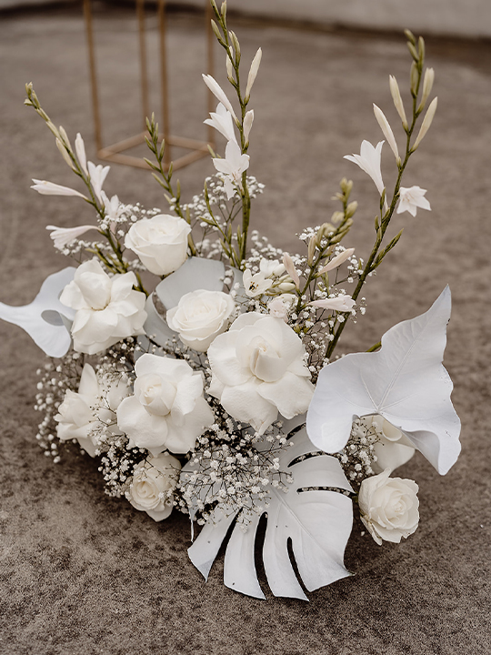 MWB43-Wild-Blooms-Web-2 Wildblooms