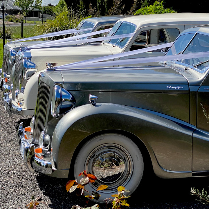 MWB-TRM-Classics-Cars-Lined-Up