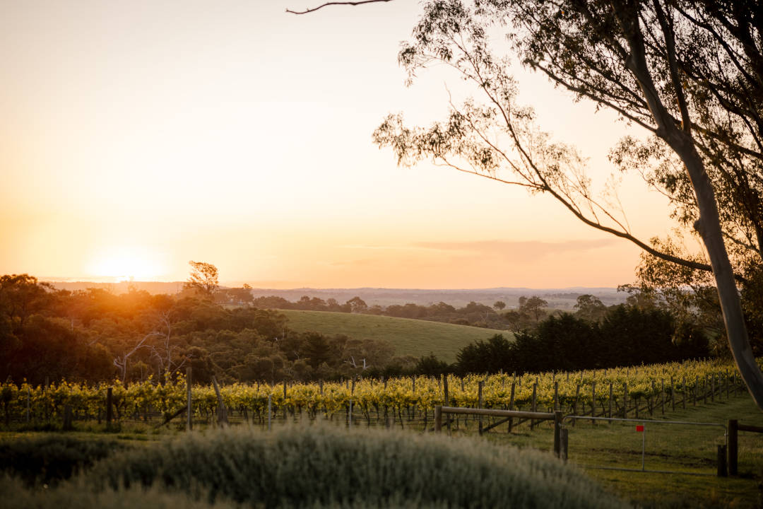 Shaws Road Winery Shaws Road Winery