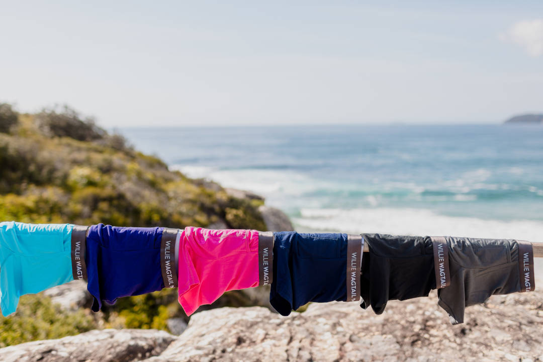 Willie Wagtail Willie Wagtail