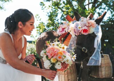 Farmyard Wedding Waiters