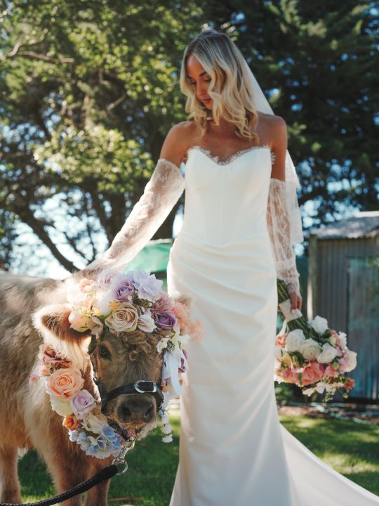 Farmyard Wedding Waiters - bride & cow
