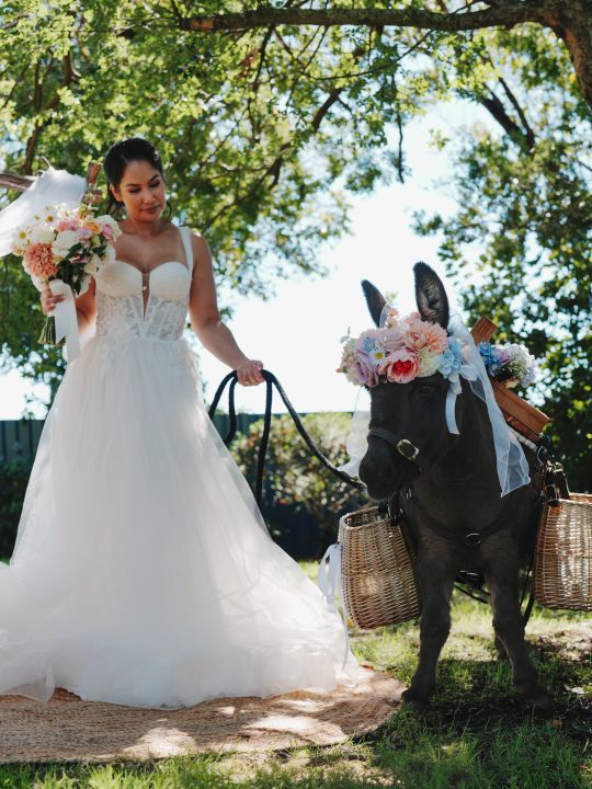 Farmyard Wedding Waiters - bride & horse