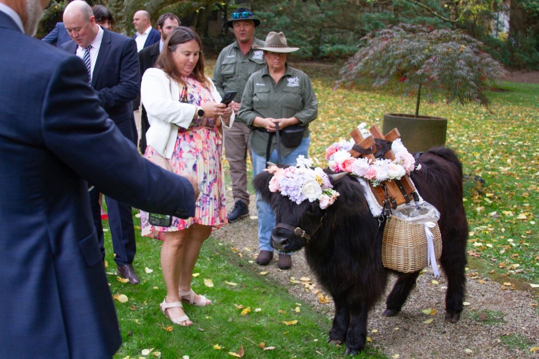 Farmyard Wedding Waiters - guests