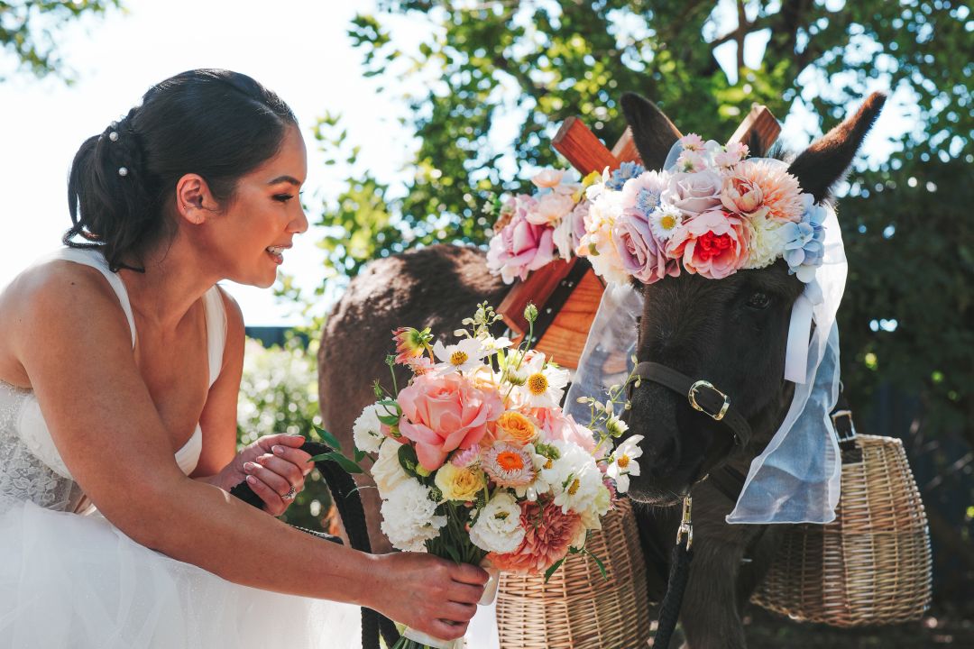 Farmyard Wedding Waiters Sugar by Megan