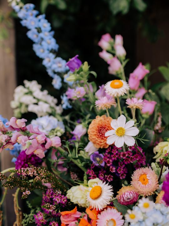 The Posy Yard - colourful flowers close