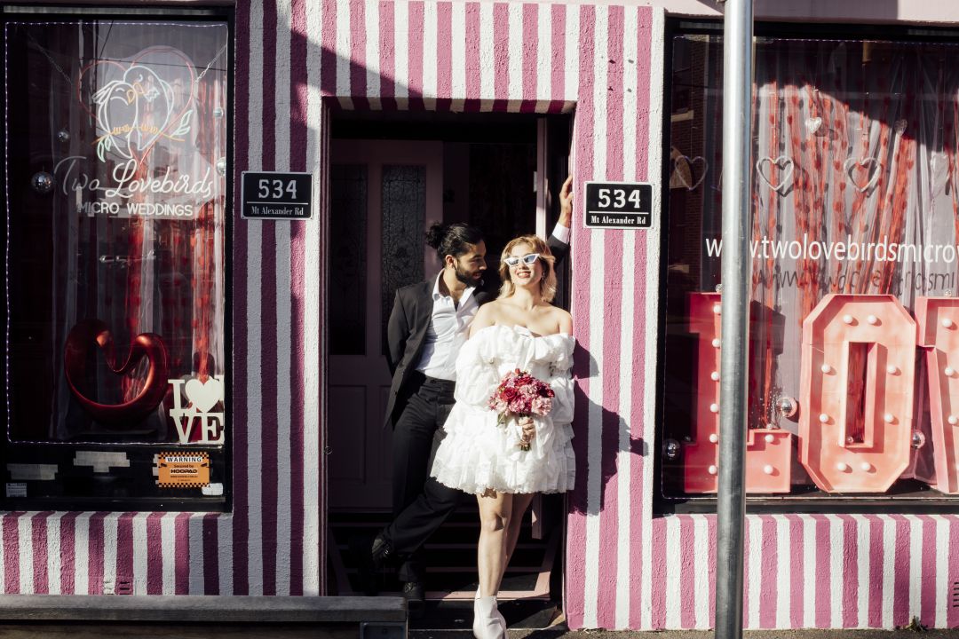 Two Lovebirds Sugar by Megan
